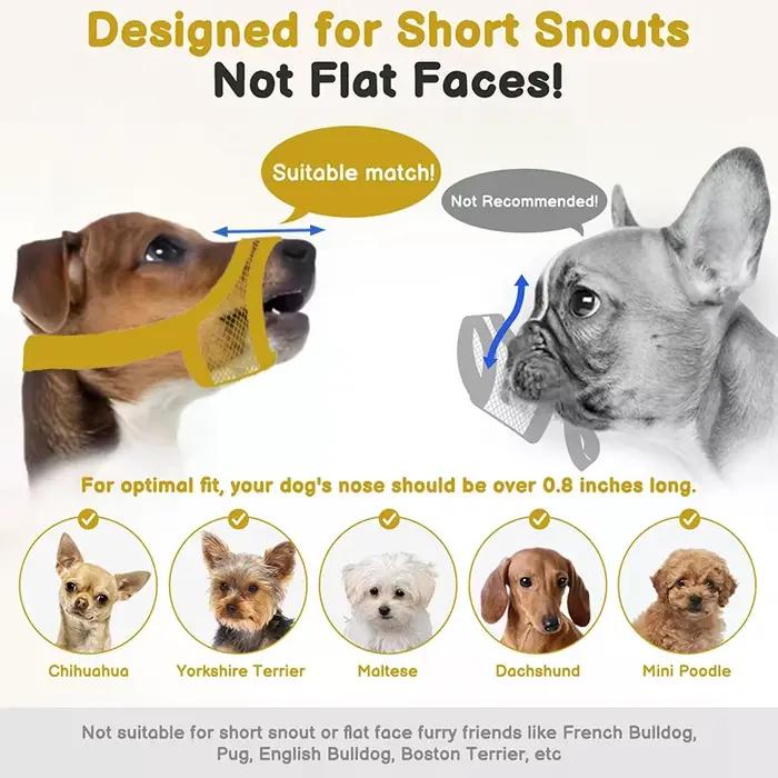 Gardez votre chien de petite ou moyenne mordre avec ce museau en maille