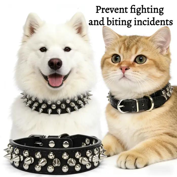 Collier en cuir pour animaux de compagnie