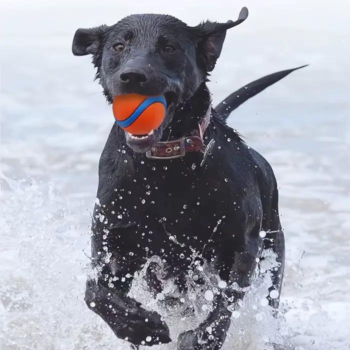 Balle à mâcher en Silicone Durable pour chien