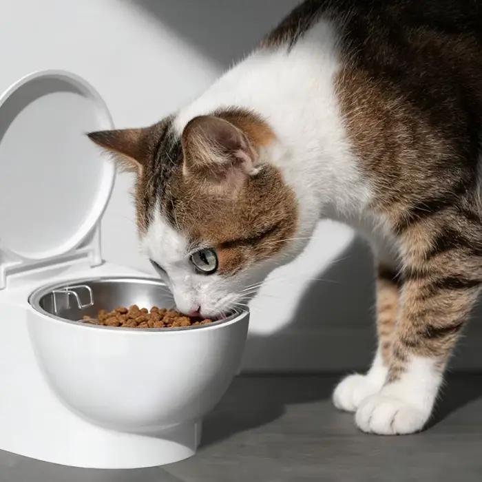 Gamelle pour animaux de compagnie au design amusant en forme de toilettes
