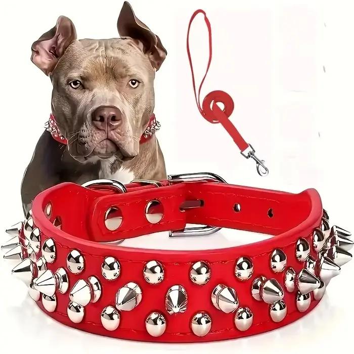 Ensemble collier et laisse pour chien à pointes