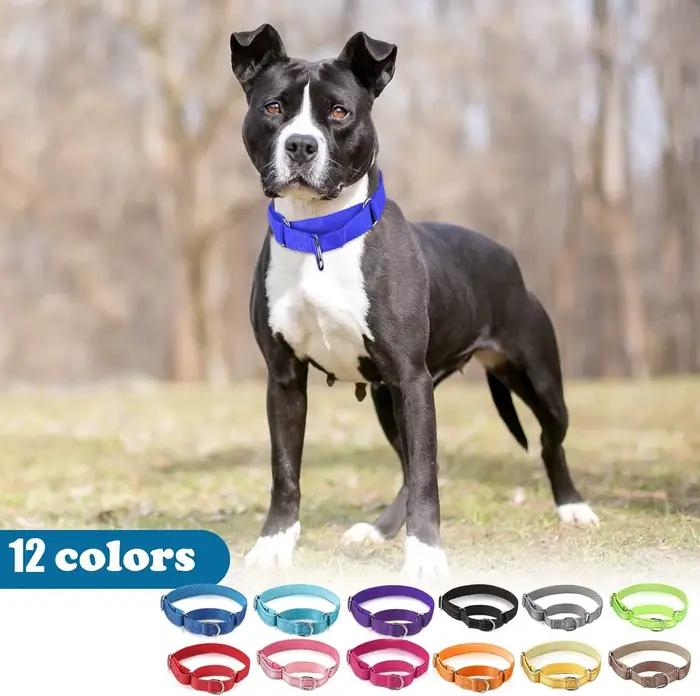 Collier de chien Martingale