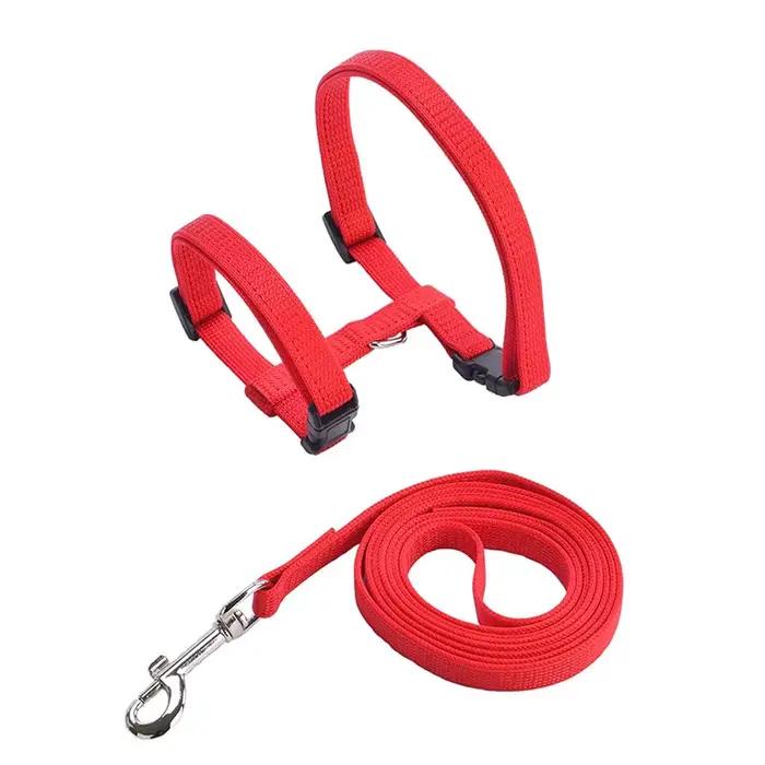 Collier réglable pour animaux de compagnie