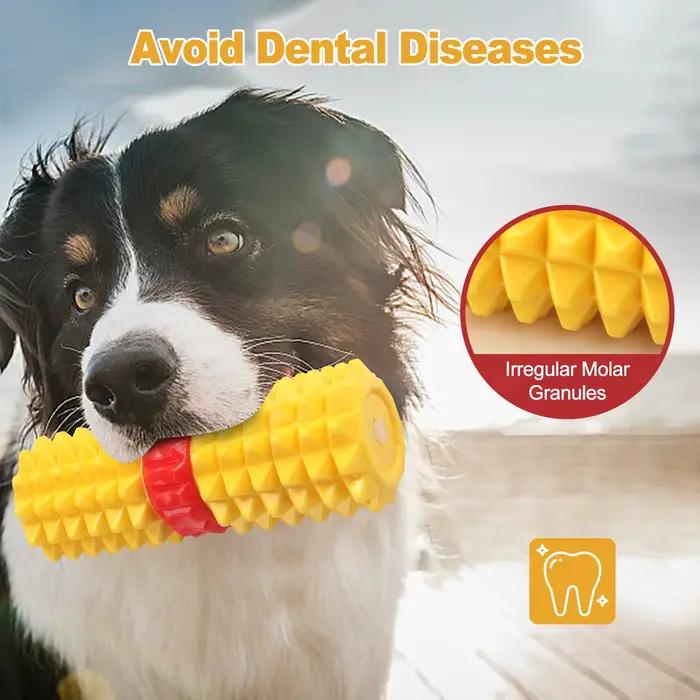 Le jouet pour chien Tpr est un bâton de dentition très durable