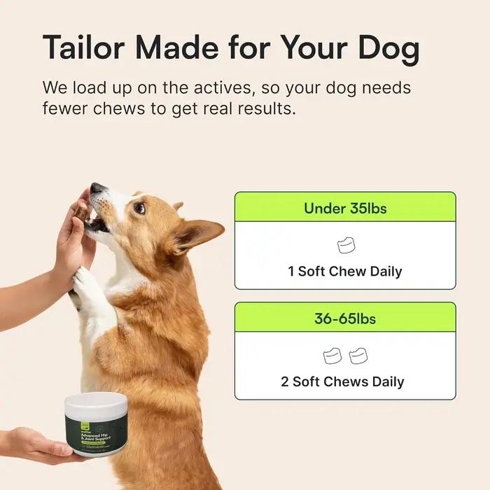 Complément avancé pour les hanches et les articulations des chiens avec glucosamine