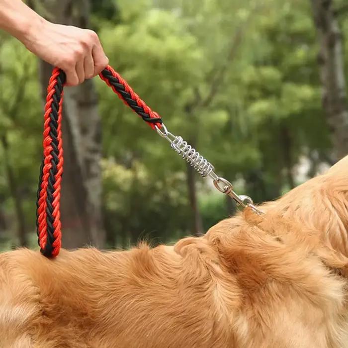 Chaîne courte antidéflagrante pour chien