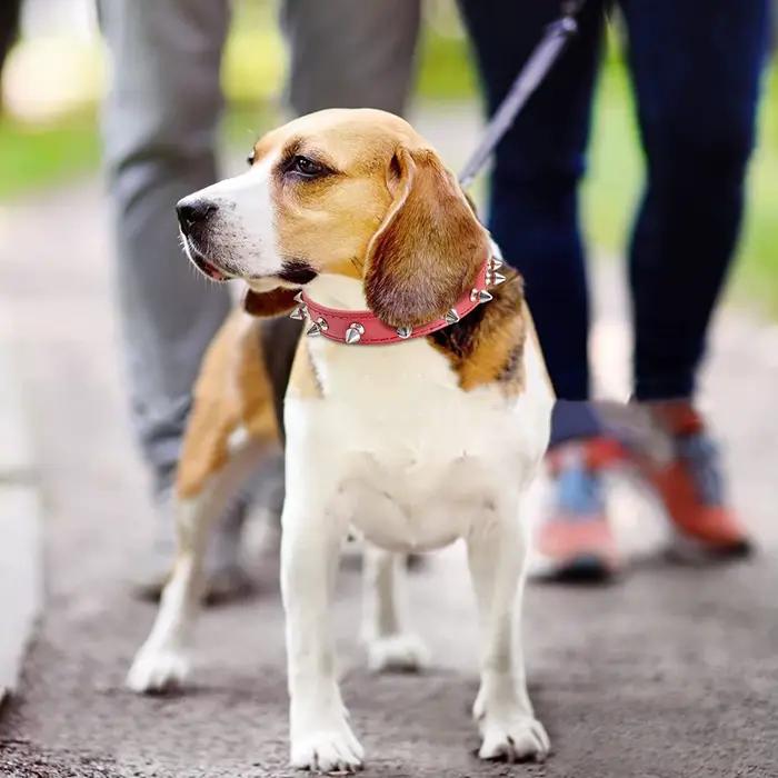 Colliers pour animaux de compagnie réglables en cuir PU à la mode Punk Rivet collier pour chien à pointes pour petits