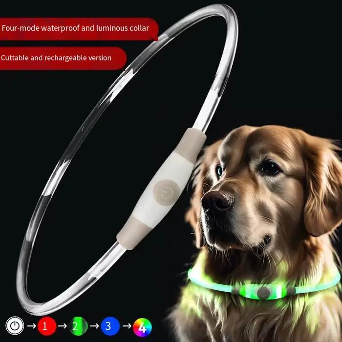 Collier lumineux LED pour animaux de compagnie