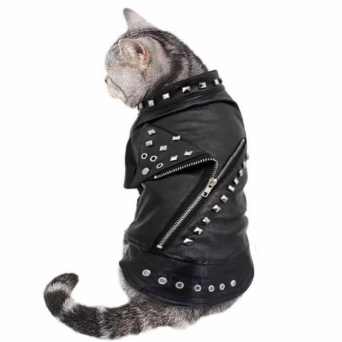 Veste en cuir pour chien Cool
