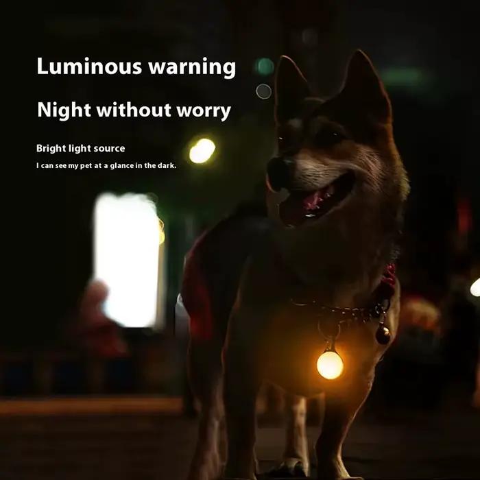 Collier lumineux LED pour chien et chat