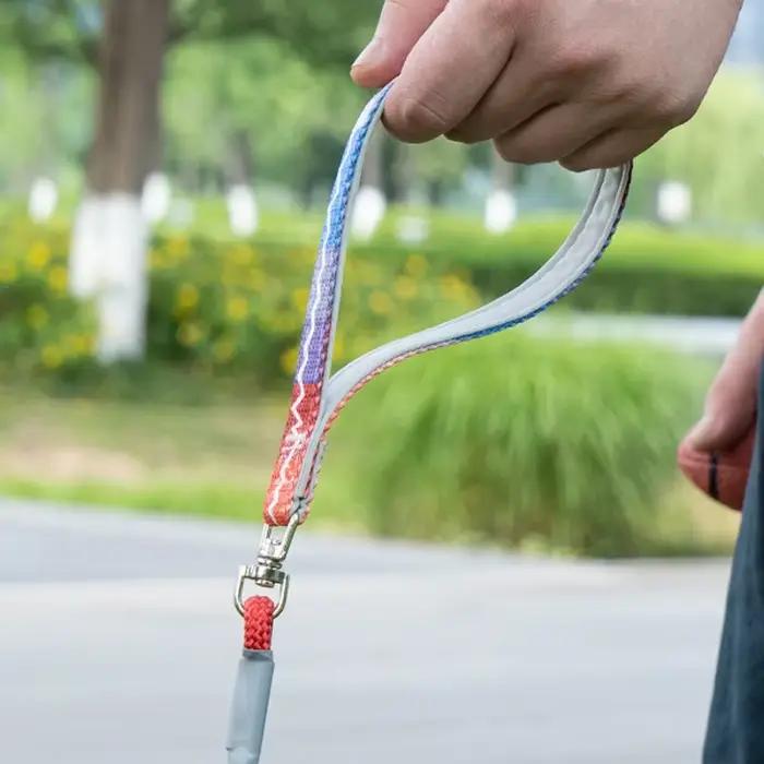Laisse d'entraînement pour chiens sans traction
