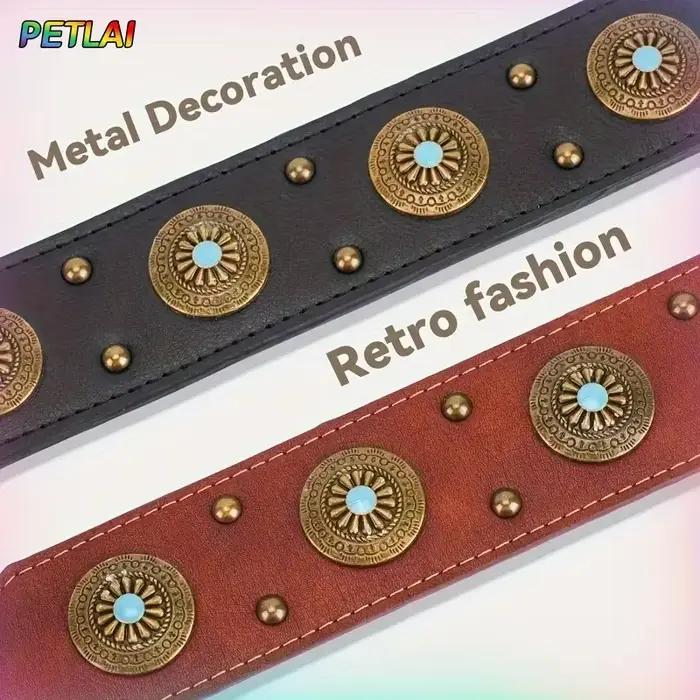 Collier pour chien design rétro