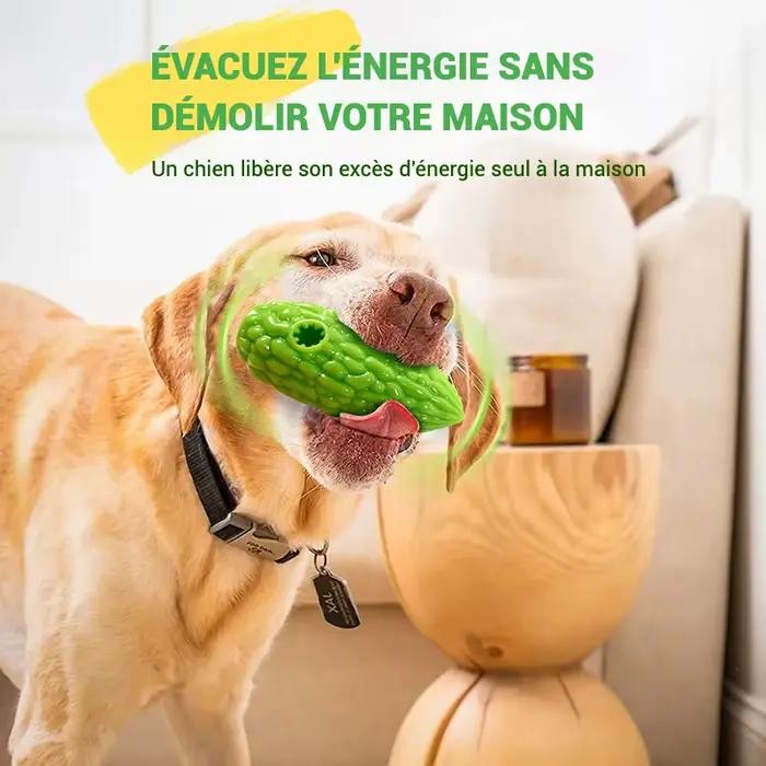Jouets de fuite de nourriture pour chiens