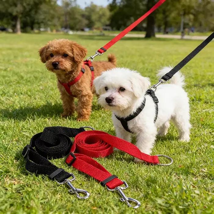 Laisse réglable pour animaux de compagnie de 1