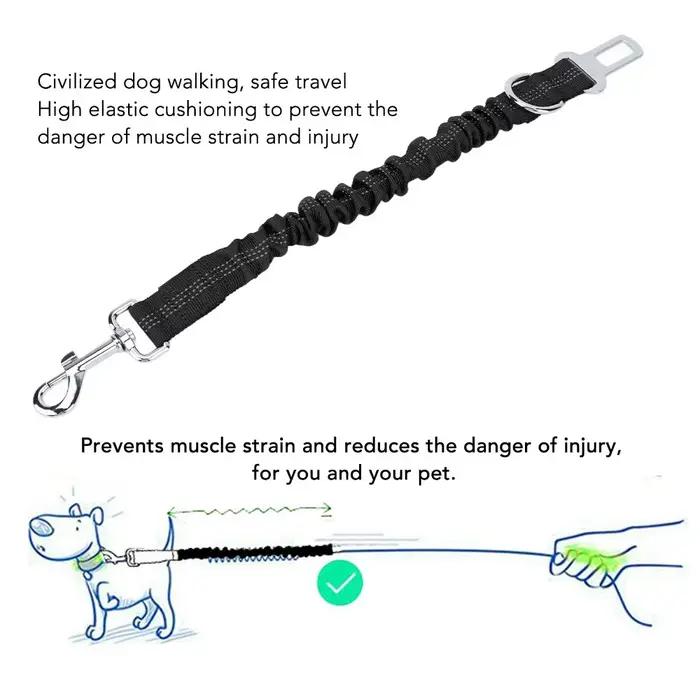 Laisse élastique pour chien facile à utiliser