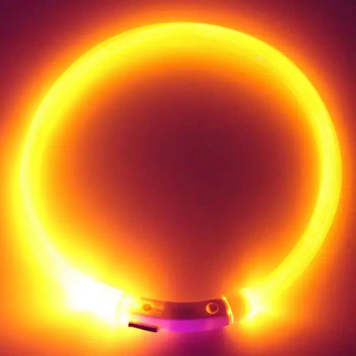 Collier de chien à lumière LED