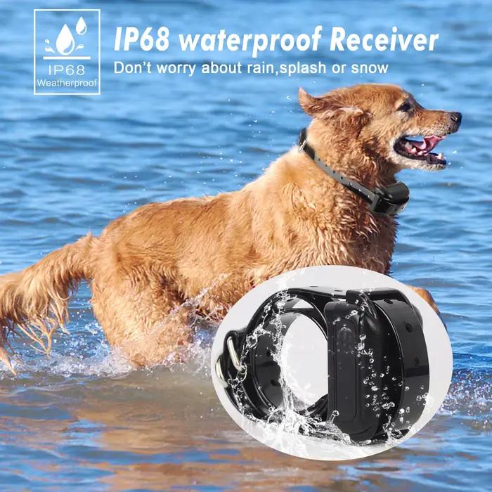 Système de clôture pour chien sans fil 2 en 1 et collier d'entraînement
