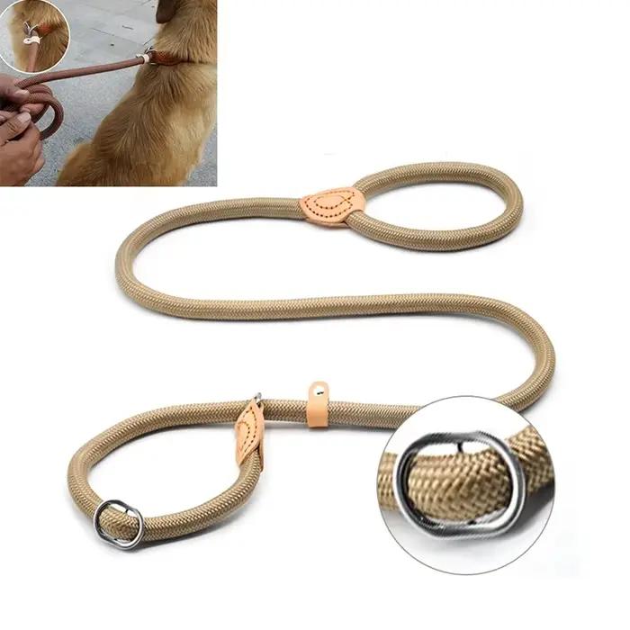 Laisse de marche pour chien