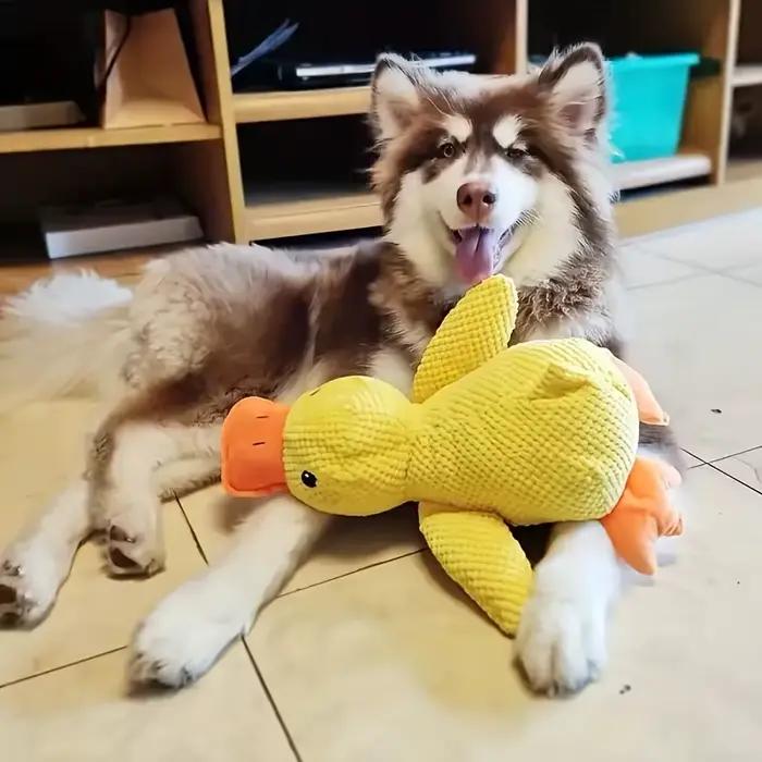 Jouet de chien grinçant en peluche durable | Pour toutes les races de chiens