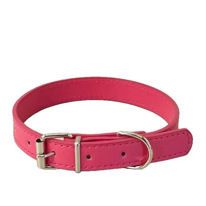 Collier pour chien