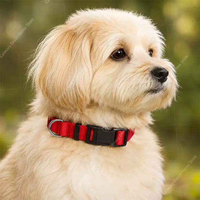Collier réglable pour chien