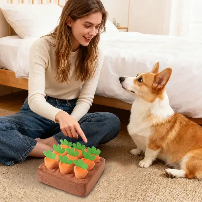 Tapis de reniflement interactif pour chiens avec carottes