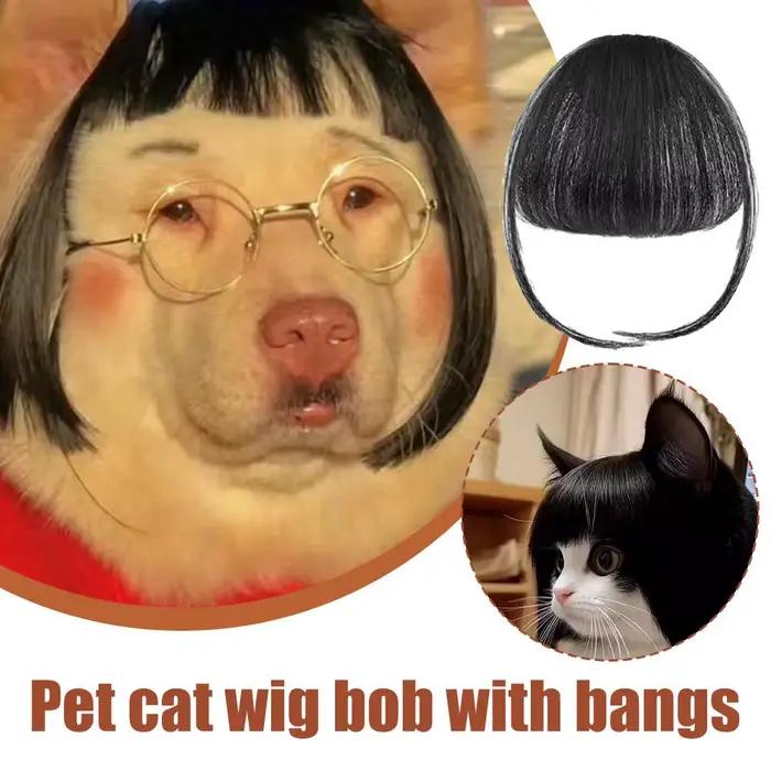Nouvelle Perruque Amusante pour Chats et Chiens