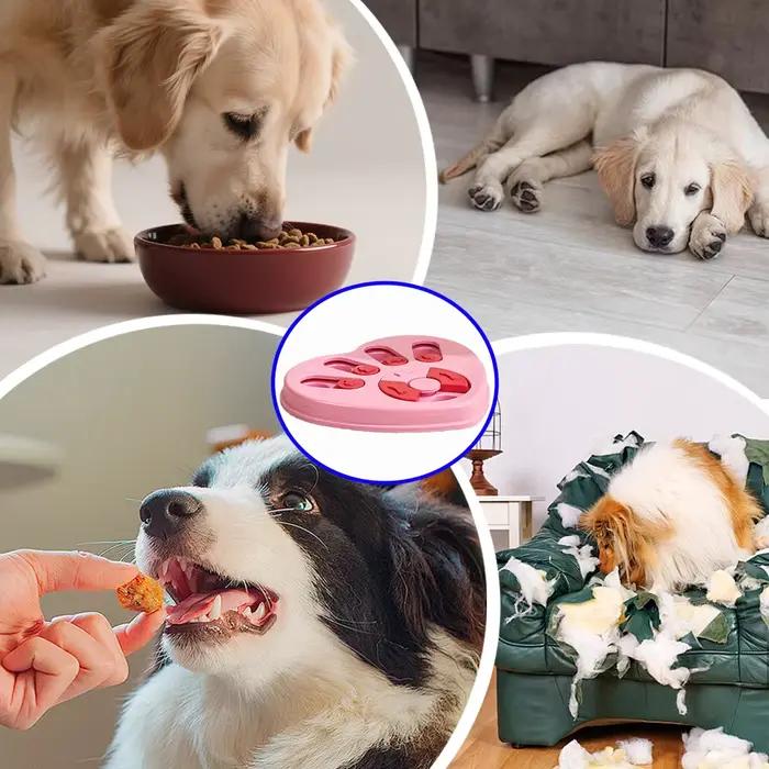 Jouet distributeur de friandises pour chien