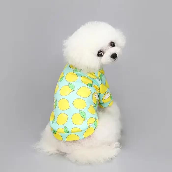 Chihuahua chien sweat chiot chat pull chiens petit chien à capuche manteau hiver chaud vêtements pour animaux de compagnie pour bouledogue
