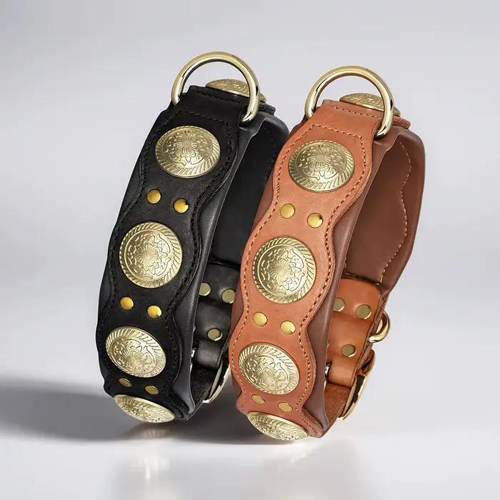 Collier pour chien en cuir véritable colliers