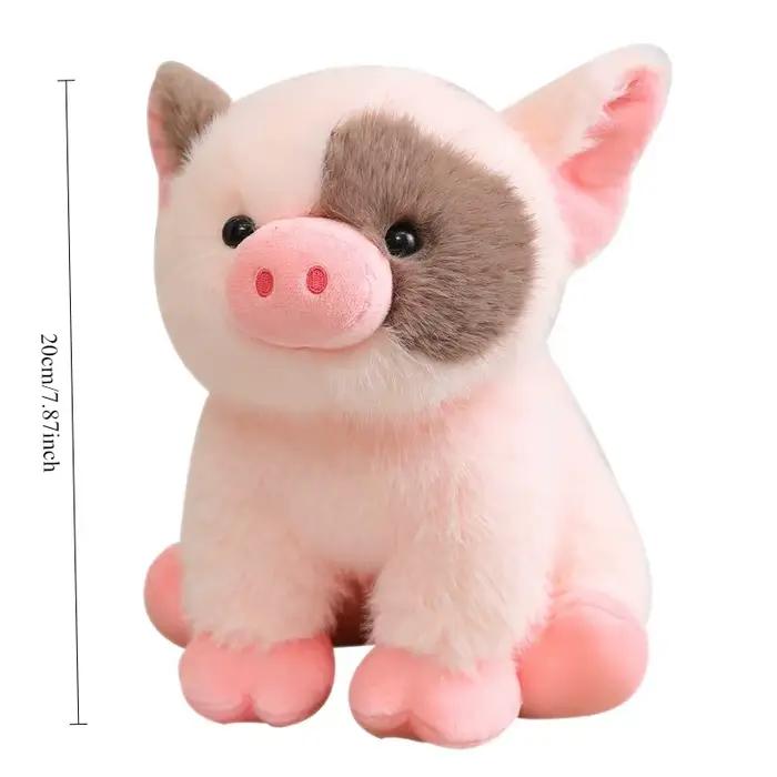 Jouet de démarrage pour chiots et chatons