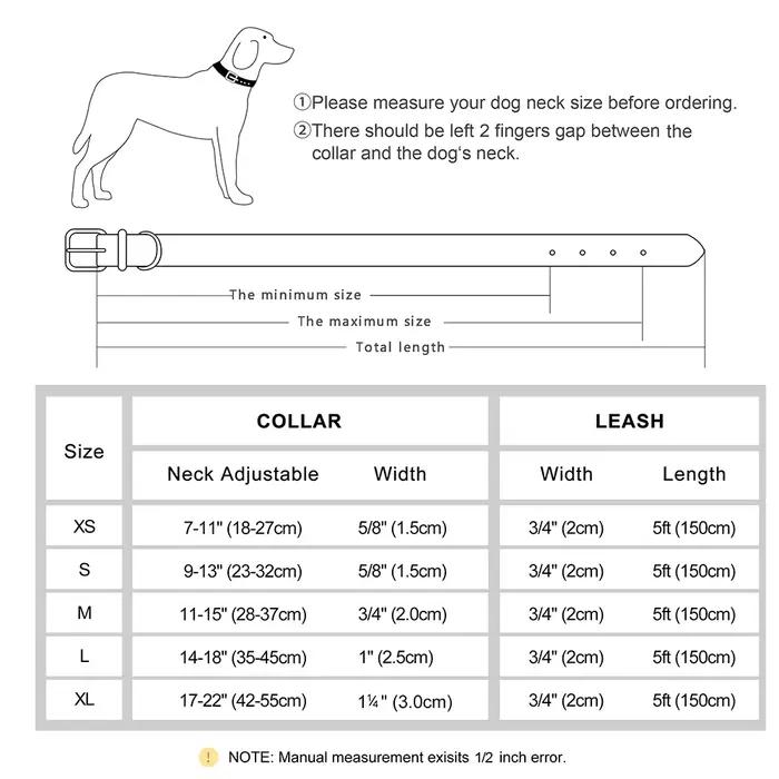 Ensemble de laisse de collier de chien en cuir personnalisé