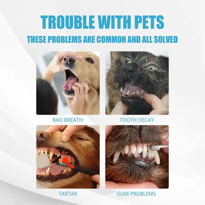 Dentifrice comestible pour animaux de compagnie