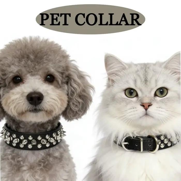 Collier en cuir pour animaux de compagnie