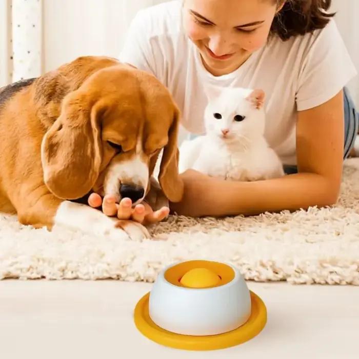 Jouets interactifs pour chiens