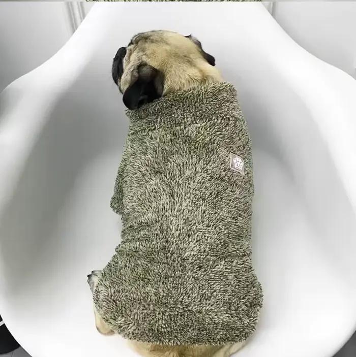 Pull en polaire pour bouledogue français