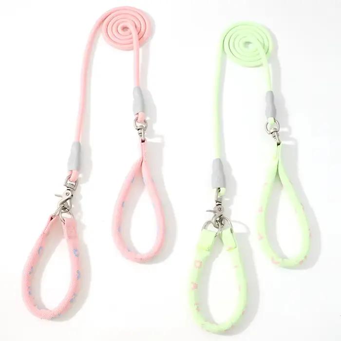 Ensemble collier et laisse pour chien 2 en 1