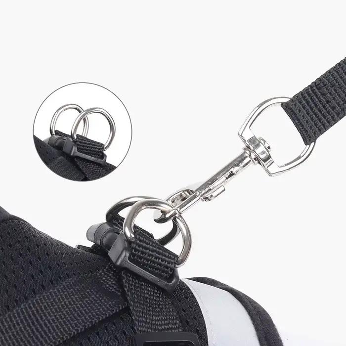 Ensemble de laisse de plomb réglable pour animal de compagnie