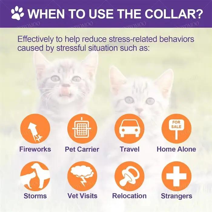 Collier apaisant aux phéromones pour chien et chat