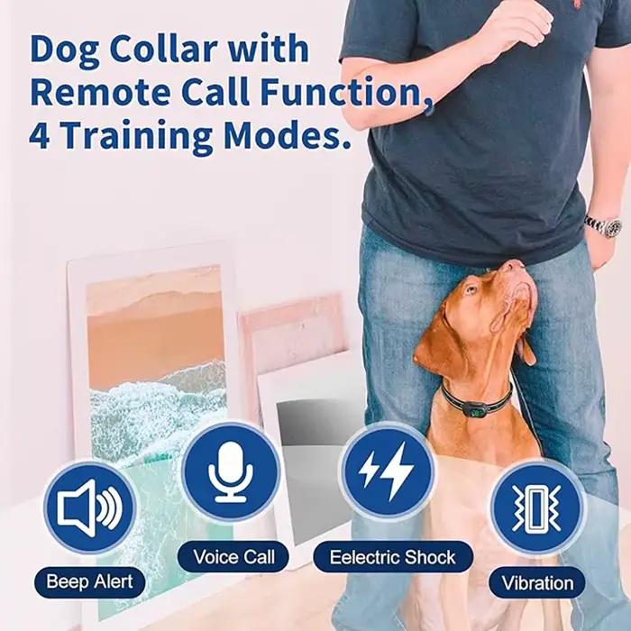 Collier de dressage pour chien 4900FT avec télécommande vocale