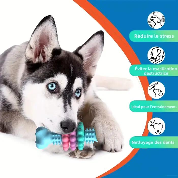 Jouet à mâcher indestructible pour chiens agressifs - Caoutchouc thermoplastique durable avec motif géométrique