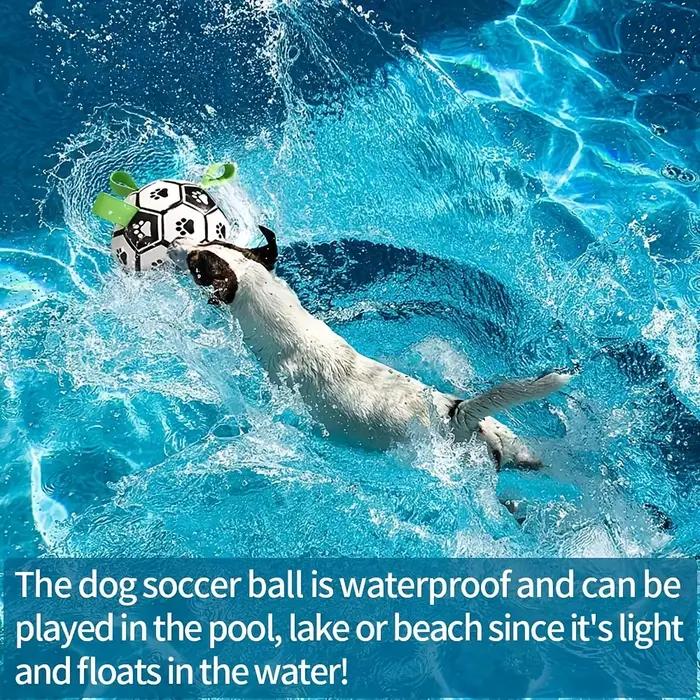 Damaly, jouet interactif de football pour chien avec anneau de poignée