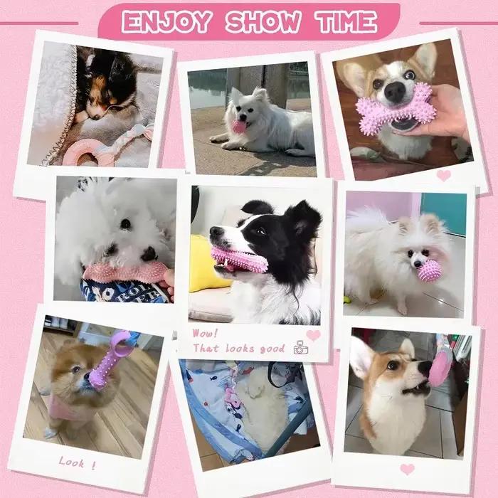 Jouets à mâcher pour chiens