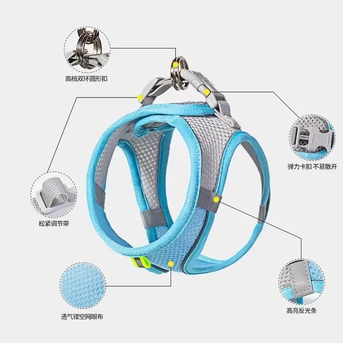 Ensemble de laisse harnais pour chien pour petits chiens