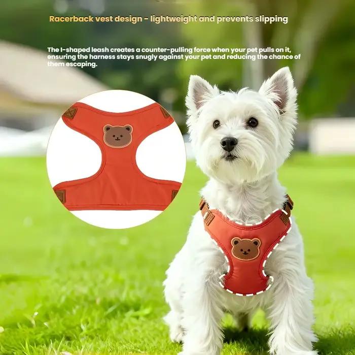 Ensemble de harnais et laisse pour chien