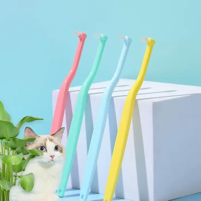 Brosse à dents ronde/pointue pour chien