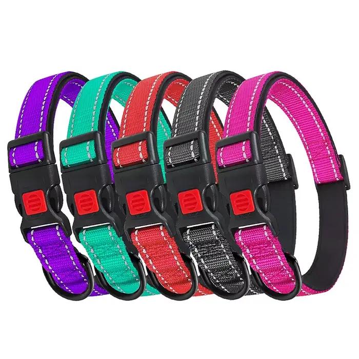 Collier de chien en fonte réglable