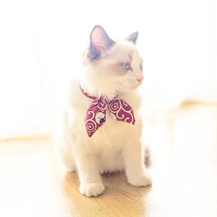 Collier pour chat noeud papillon