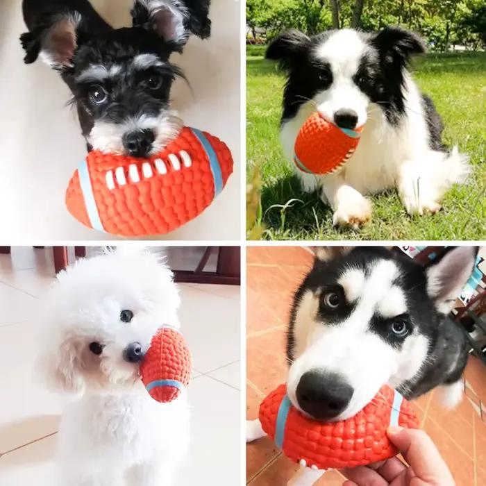 Jouet de balle pour chien