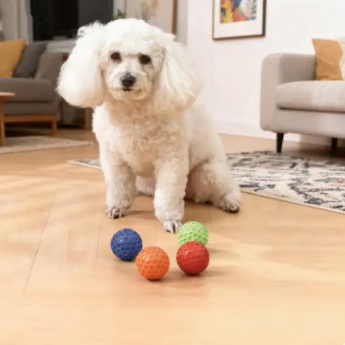 Balle en caoutchouc interactive indestructible pour chien